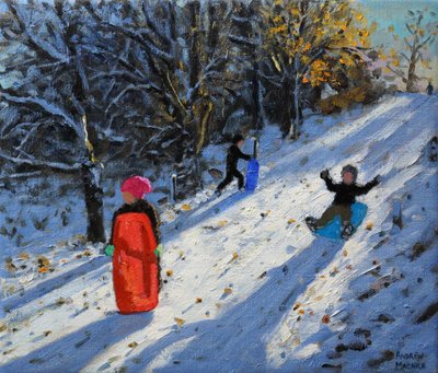 Red sledge, Allestree Park Derby, 2014 by Andrew Macara